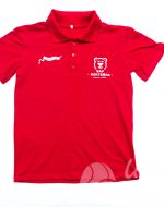 иванычъ group футболки-поло