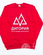 иванычъ group свитшоты