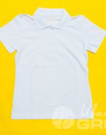 иванычъ group футболки-поло