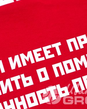 иванычъ group футболки-поло