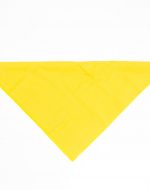 иванычъ group банданы