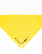 иванычъ group банданы