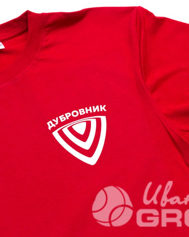 Печать надписей, слоганов и лого на футболках