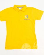 иванычъ group футболки-поло