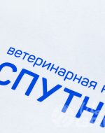 иванычъ group толстовки