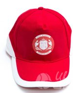 иванычъ group бейсболки