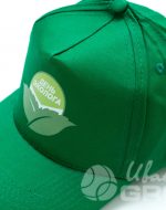 иванычъ group бейсболки