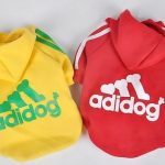 Сенсация! Только у нас: печать на одежде ваших любимцев!