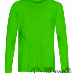 Зеленая футболка с длинным рукавом мужская