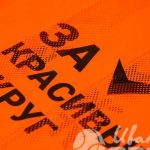 Оранжевая жилетка с надписью «За красивый округ» (ТСК Борисовский двор)