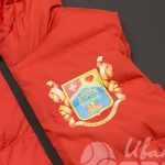 Печать герба «В движении жизнь» на жилетах с капюшоном