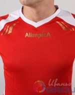 футболка с логотипами в москве