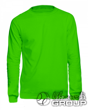 Зеленый свитшот промо