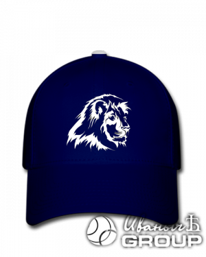 Стандарт бейсболки