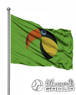 Полная запечатка флагов