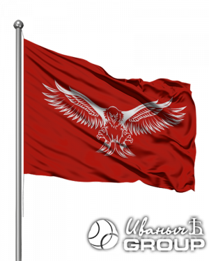 Срочная печать флагов