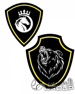 Срочное изготовление шевронов