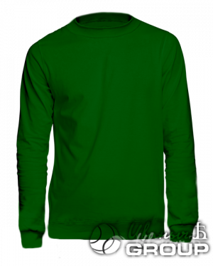Темно-зеленый свитшот промо